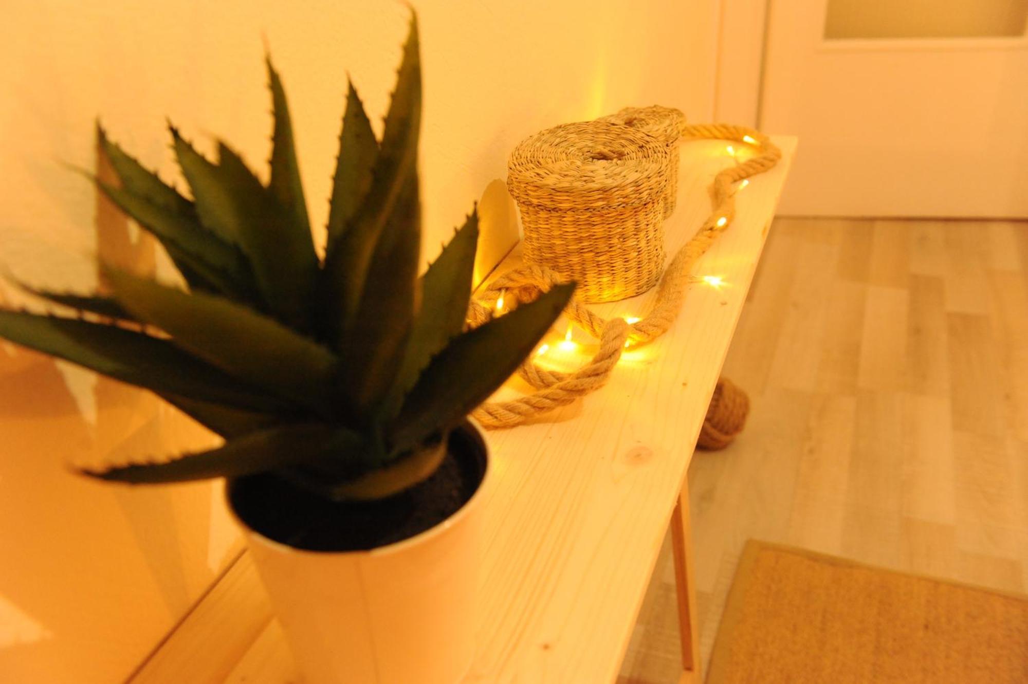 Delphic Moments - Sunny App 3Br, 2Ba With View Apartman Kültér fotó